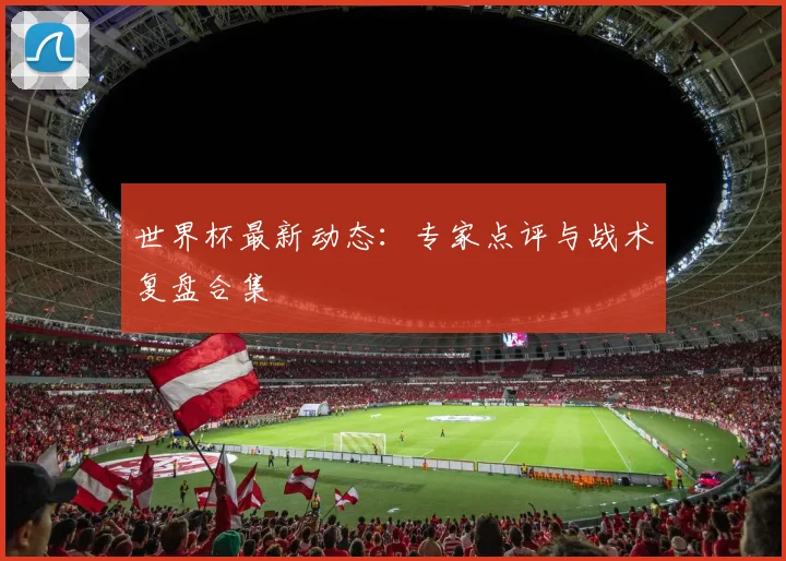 世界杯最新动态：专家点评与战术复盘合集
