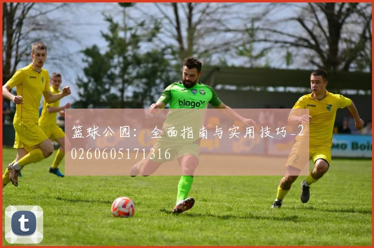 篮球公园：全面指南与实用技巧_20260605171316