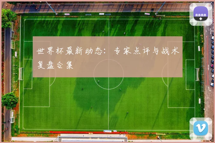 世界杯最新动态：专家点评与战术复盘合集